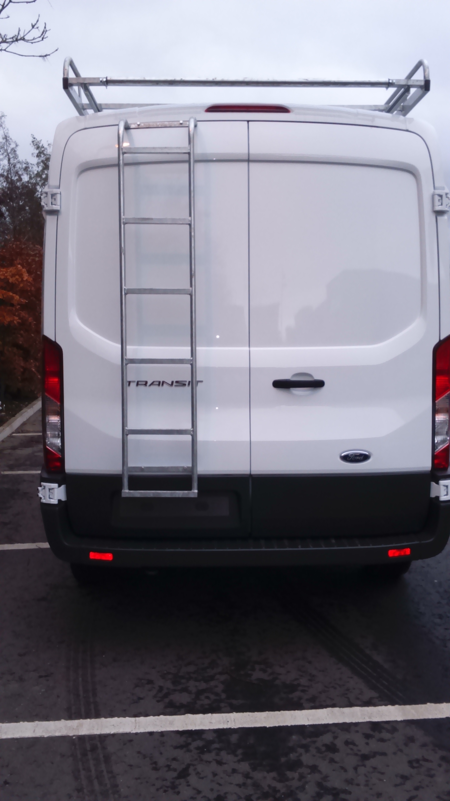 TRANSIT 8 MR DOOR LADDER GALV